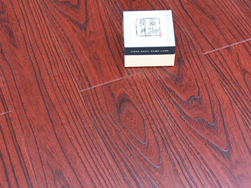 2969Խ�Ϻ�ӣ��ľ