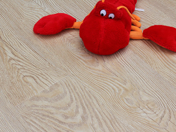 2731̩����ľ