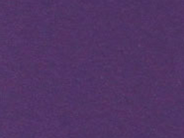 2023-ʥ������